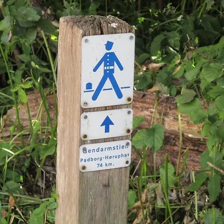 - Simple & Modern * Padborg