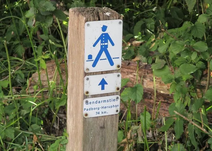 - Simple & Modern * Padborg